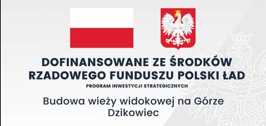 Budowa wieży widokowej na górze Dzikowiec